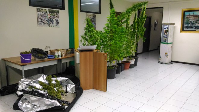 Guardia di Finanza Avellino. Sequestrata marijuana