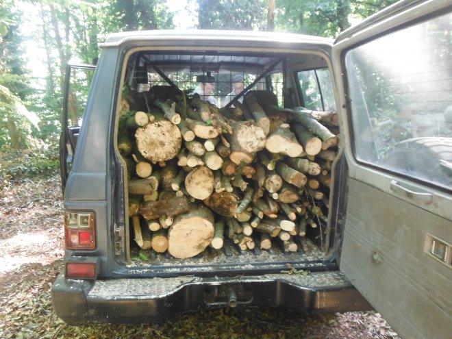 Furto di legna nel Parco Regionale del Partenio, i Carabinierli Forestali arrestano un pluripregiudicato