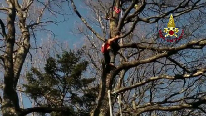 Precipita col parapendio e si incaglia su albero: salvato dai vigili del fuoco