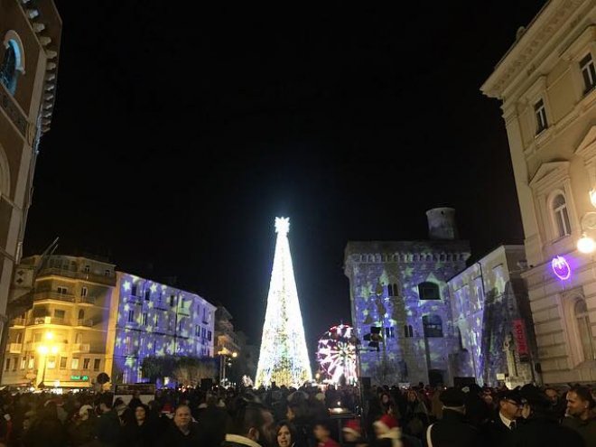 Albero e Ruota panoramica