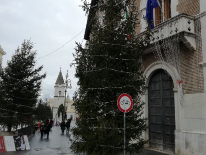 Alberi Natale