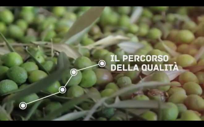 Olio extra vergine d'oliva: storia, tradizioni e varieta'