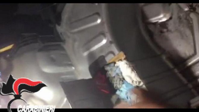 Cane poliziotto scopre 40 chili di coca nel doppiofondo dell'auto