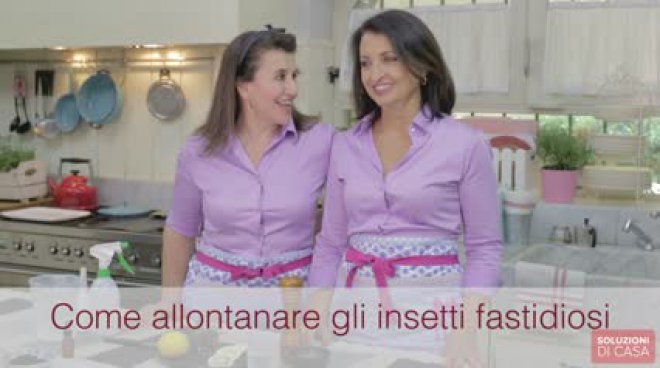 Soluzioni di Casa. I prodotti naturali per allontanare gli insetti