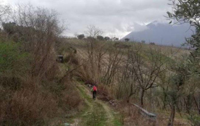 Bici vigneti Castelvenere