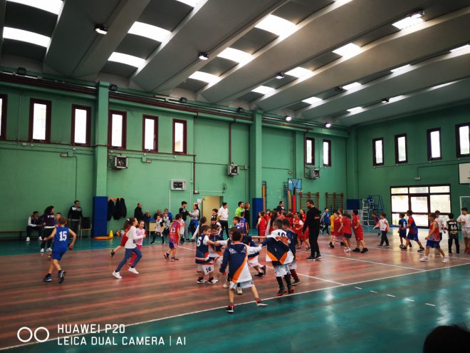 Minibasket libellule betulle (2019)