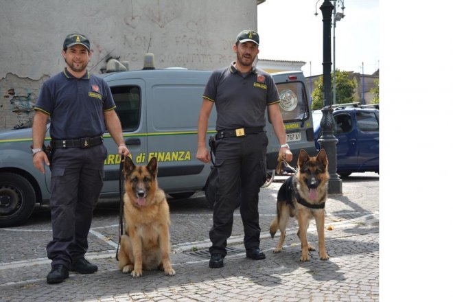 Caserta. Unita' Cinofila della Guardia di Finanza