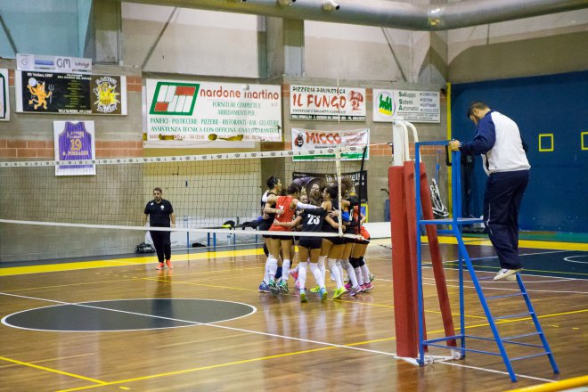 Volare - SG Volley