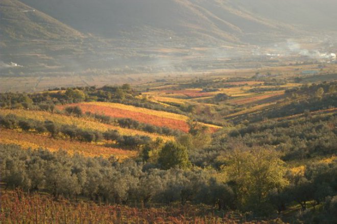 Sannio paesaggio rurale