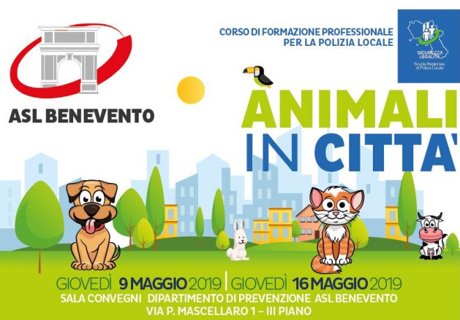 Animali in citta'