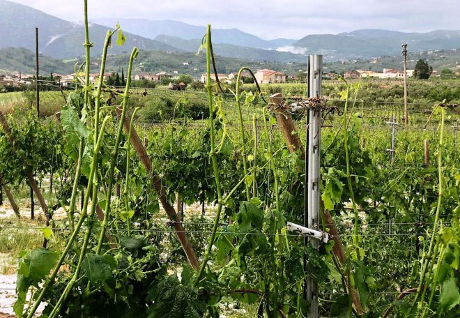 Grandinata nel Sannio