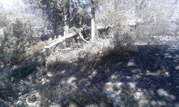 Il costone andato in fiamme