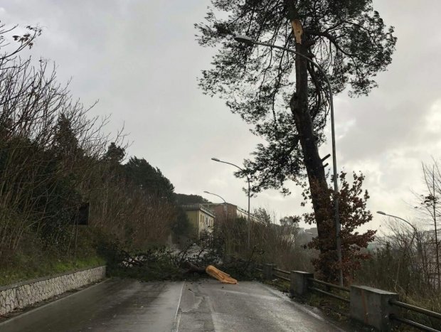 Maltempo, decine di interventi dei vigili del fuoco