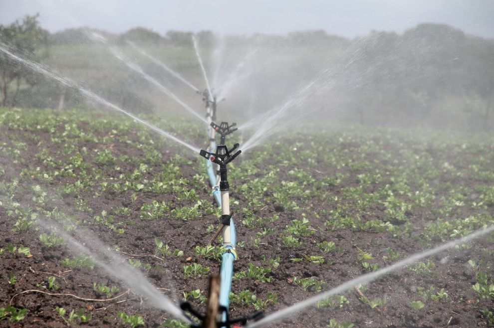 Irrigazione salva raccolti