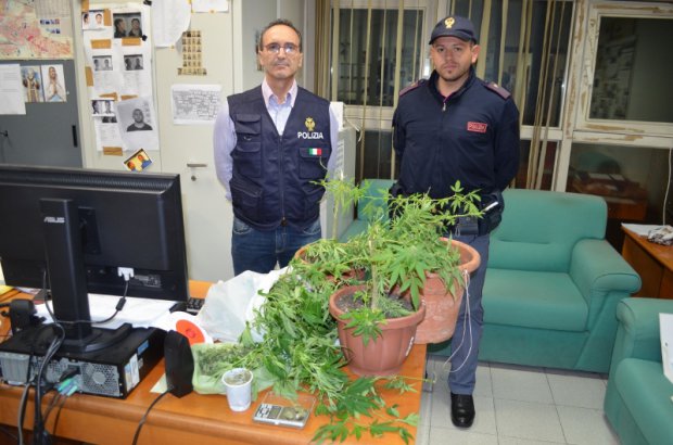 Coltivava marijuana a Ragalna, preso dalla squadra mobile di Catania Coltivava marijuana a Ragalna, preso dalla squadra mobile di Catania