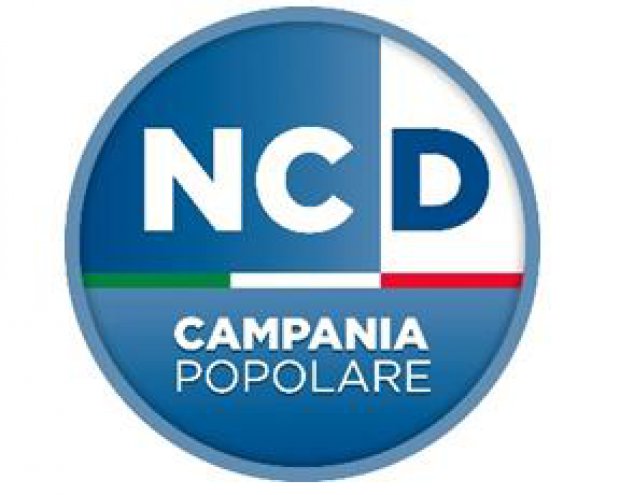 logo NCD
