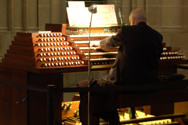 Organista - foto wikipedia