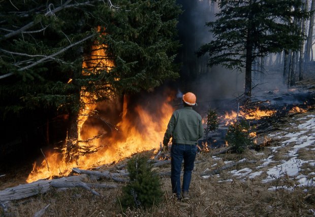 Incendio boschivo