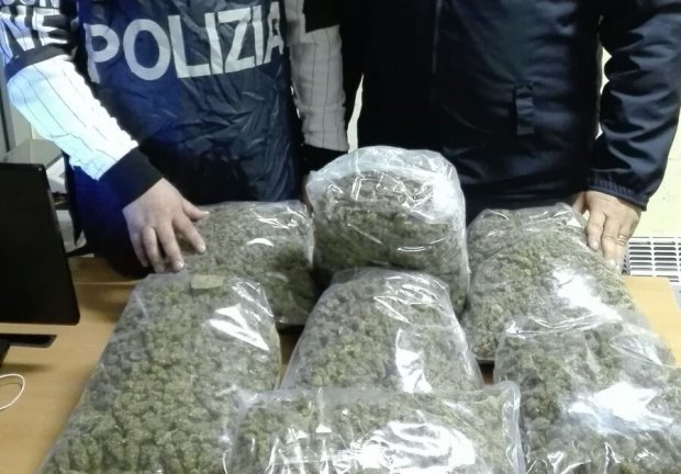 Napoli. Marijuana sequestrata dalla Polizia