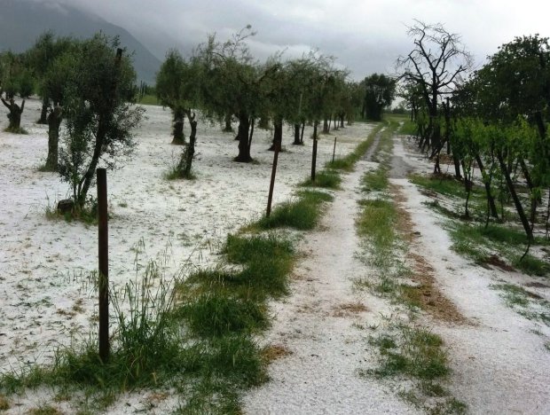 Grandinata nel Sannio (maggio 2018)