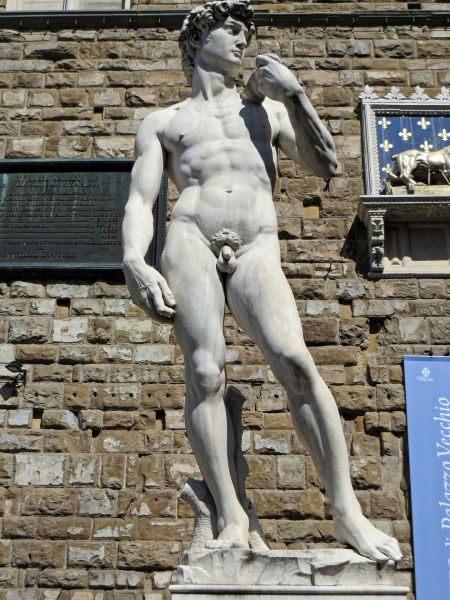 La scultura del David di Michelangelo - Firenze
