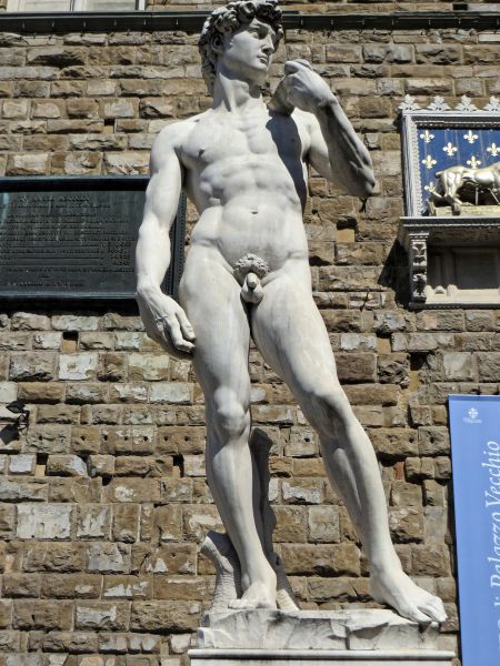La scultura del David di Michelangelo - Firenze