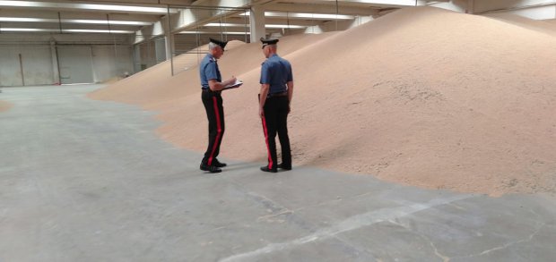 Sequestrati 45.000 Quintali di grano dai Carabinieri Forestale di Benevento