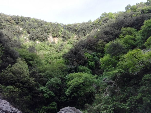 Resti archeologici sul Monte Pugliano