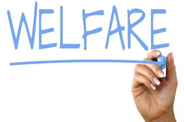 Welfare