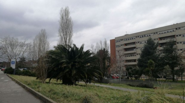 Ospedale Rummo