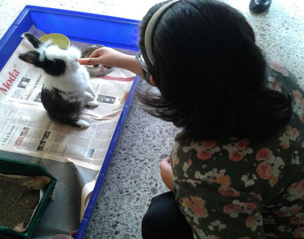 Pet Theraphy all'Istituto Fermi di Montesarchio