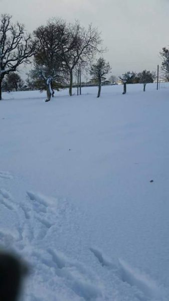 Pietrelcina (foto da Facebook)