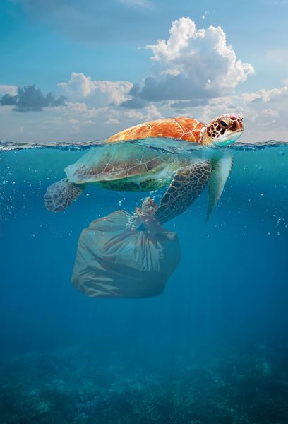 Inquinamento da plastica: una speranza per ripulire l'ambiente