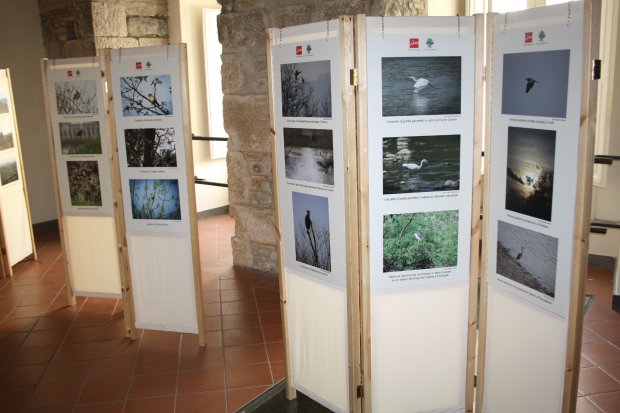 Mostra fotografica Fauna, flora e paesaggi dell'Oasi di protezione Zone Umide Beneventane