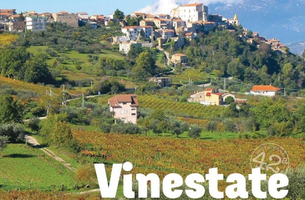 VinEstate 2016