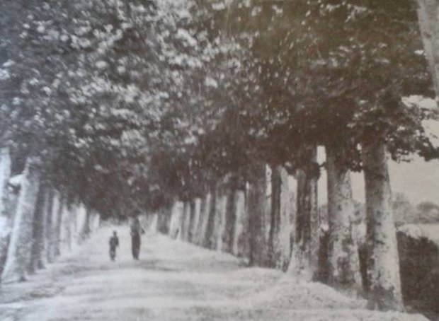 Airola, viale Moiano nel 1920
