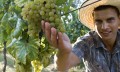 Agricoltura align=
