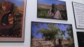 Roma. World Press Photo 2022, le foto finaliste al Palazzo delle Esposizioni align=