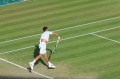 Wimbledon align=